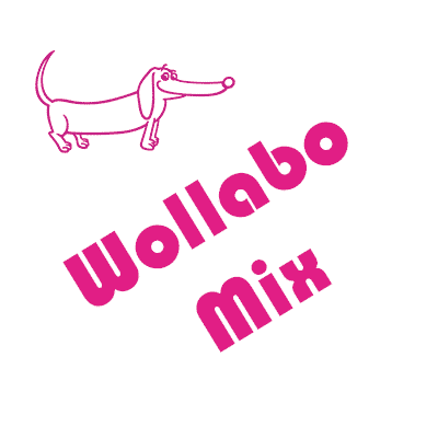 Hangefärbte Wolle -  Wollabo Mix 3 Monate. Hier online kaufen.
