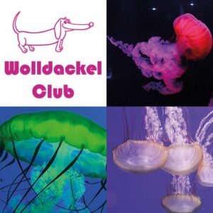 SockClub_Vorlage_jellyfish