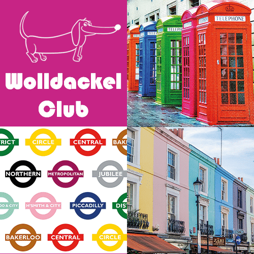 Ein Strang handgefärbte Wolle mit dem Namen Wolldackel Club – London Calling von Wolldackel